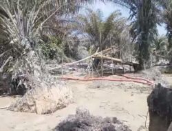 Jaringan PETI di Sambas Terungkap, Diduga Libatkan Edi dan Aseng