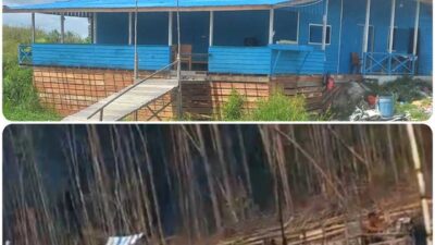 Hussein, Bos PETI dari Melawi, Kembali Beroperasi di Kapuas Hulu